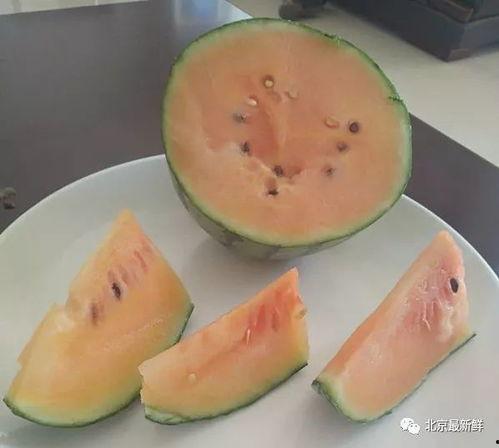 吃瓜的夏天,炎炎夏日,尽享清凉美味 第2张 吃瓜的夏天,炎炎夏日,尽享清凉美味 第2张
